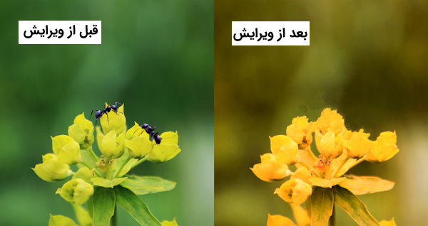 هوش مصنوعی ادیت عکس آنلاین Pixlr