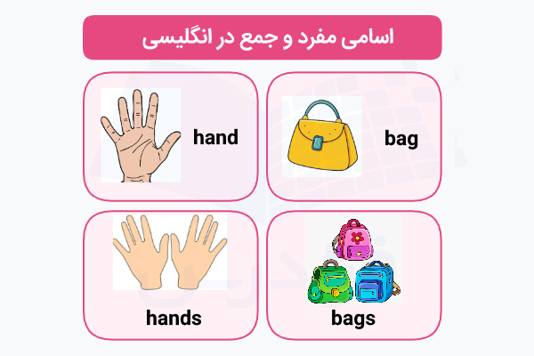 اسامی مفرد و جمع با مثال