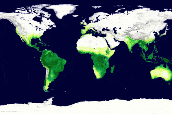 تصویر قاره ها با رنگ سبز و سفید پوشش گیاهی طی یک سال در کره زمین