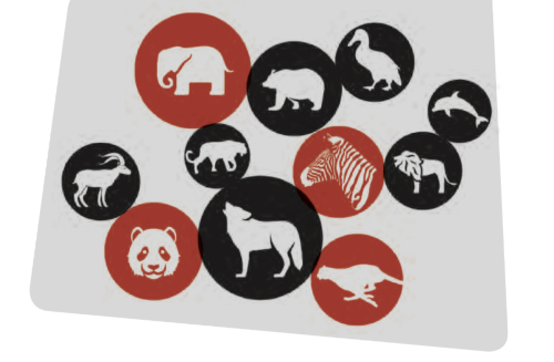 تصویر چند حیوان