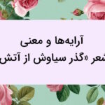 آرایه ها و معنی شعر گذر سیاوش از آتش – فارسی دوازدهم