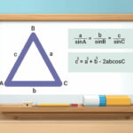 قضیه بین سینوس ها و کسینوس ها – فرمول ها + حل مثال