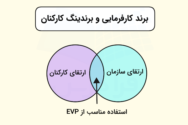 نمودار دایره ای مقایسه برند کارفرمایی و برندینگ کارکنان و محل تلاقی آن ها در EVP