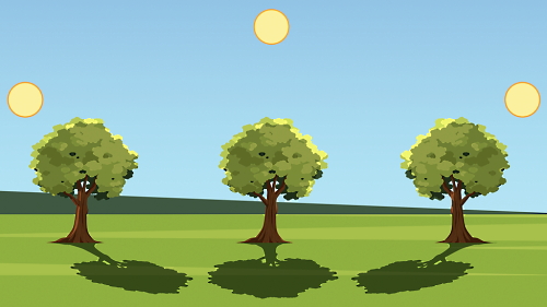 درختان و سایه آن‌ها