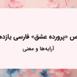 آرایه ها و معنی درس پرورده عشق فارسی یازدهم