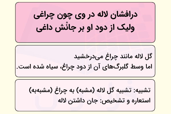 آرایه ها و معنی درس کبوتر طوق دار فارسی یازدهم