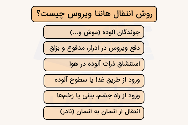 روش انتقال هانتا ویروس