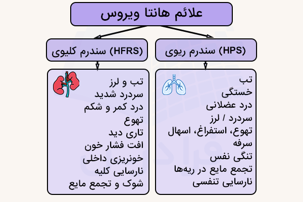 علائم هانتا ویروس