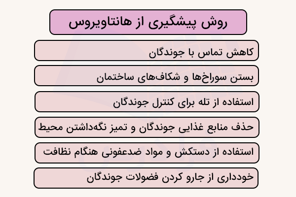 روش پیشگیری از هانتا ویروس