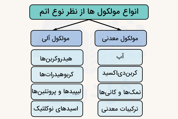 نمودار انواع مولکول‌ها از نظر نوع اتم‌ها