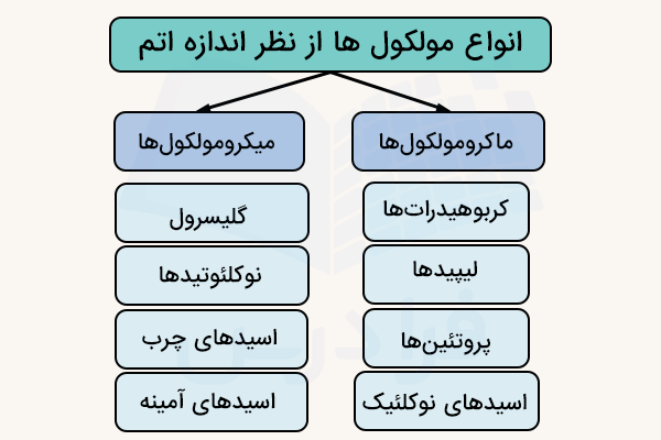 نمودار انواع مولکول‌ها از نظر اندازه اتم