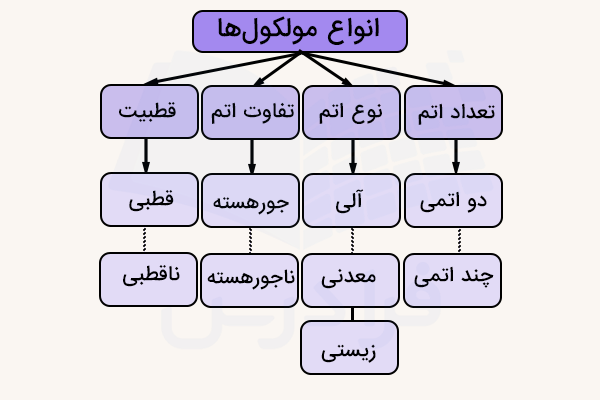 نمودار انواع مولکول ها