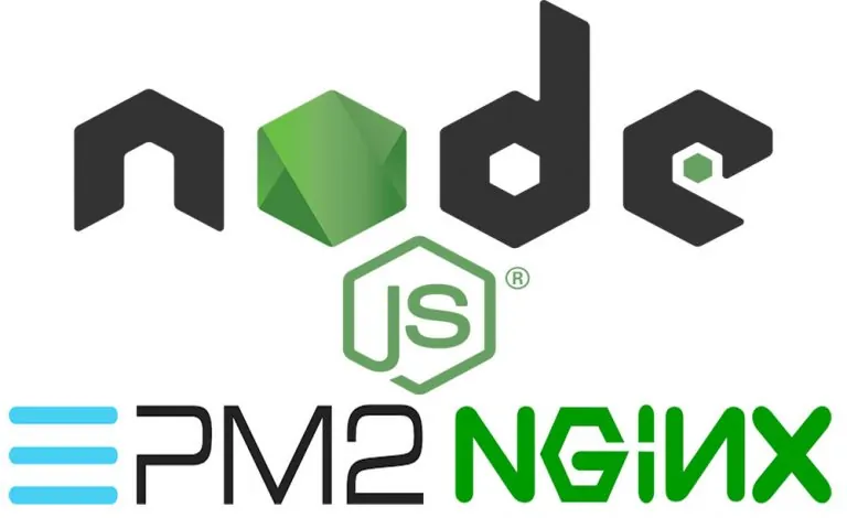 سرور TCP مبتنی بر Node.js با استفاده از PM2 و Nginx — راهنمای ساخت اپلیکیشن از صفر تا صد