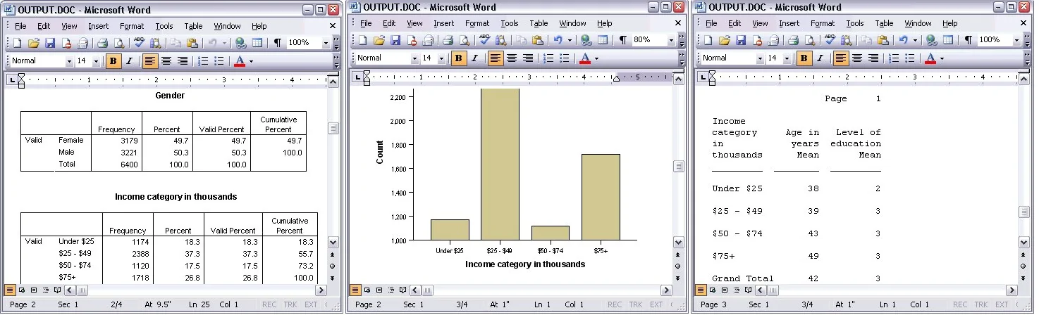 word output types in SPSS
