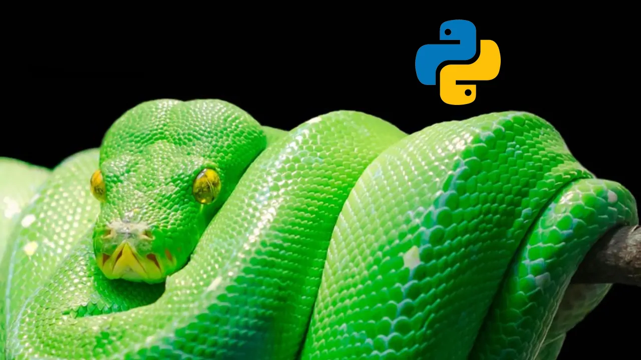 پیتون ، پایتون ، یا پایتان ، کدام برای برنامه نویسی Python درست است؟