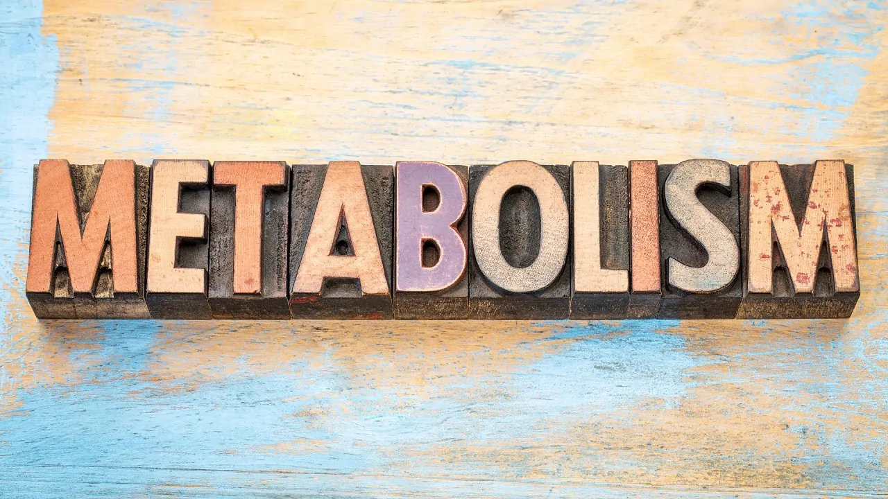 متابولیسم چیست؟ — هر آنچه باید بدانید