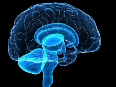 هیپنوتیزم و مغز انسان