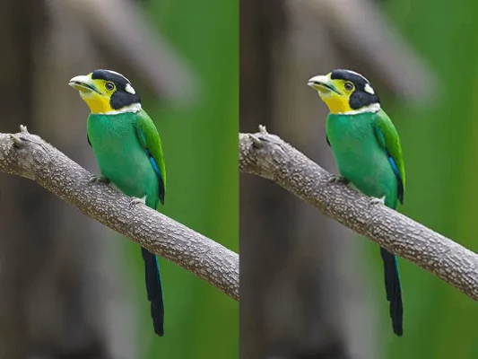 افت کیفیت تصاویر JPEG در فشرده سازی