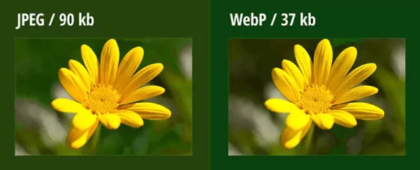 کیفیت بهتر و حجم کمتر تصاویر WebP نسبت به تصاویر JPEG
