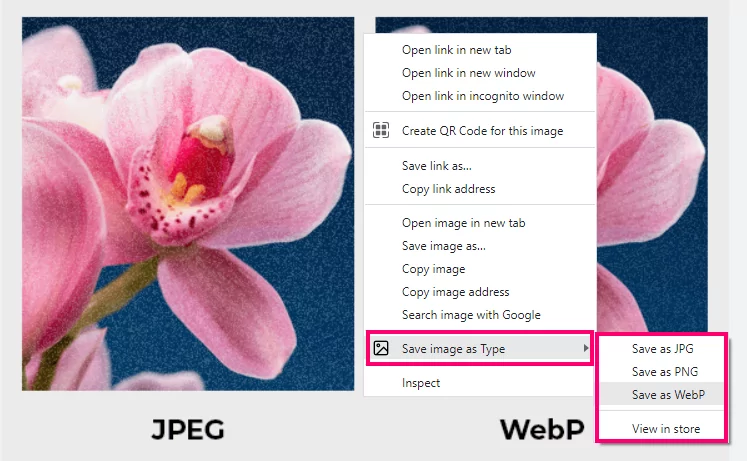 استفاده از افزونه save image as type مرورگر کروم