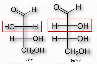 ساختار کربوهیدرات های دیاسترومر
