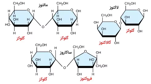 ساختار لاکتوز مالتوز و ساکاروز