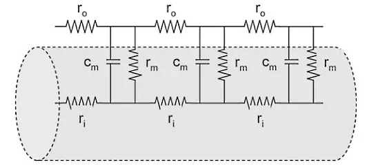 مدل مدار الکتریکی آکسون